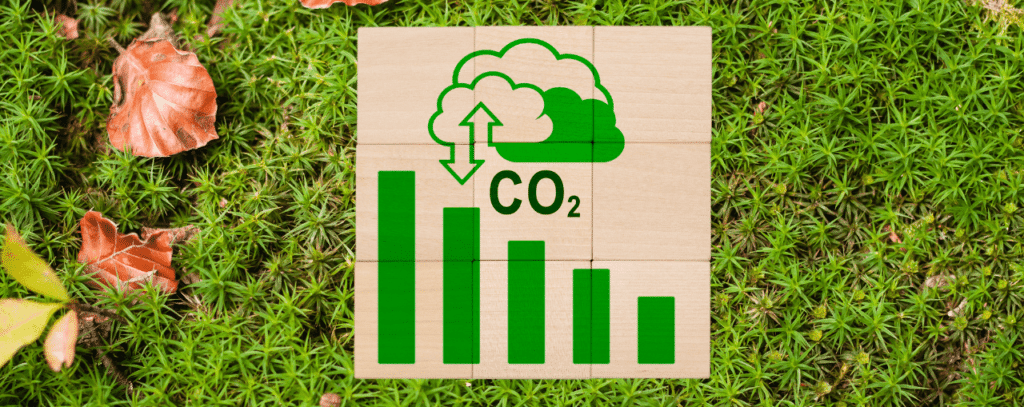 Este sistema voluntario busca apoyar la neutralidad climática para 2050 mediante actividades como captura y almacenamiento de carbono, reforestación y uso sostenible de suelos. Las iniciativas certificadas deberán cumplir criterios estrictos, como beneficios medibles, adicionalidad y sostenibilidad.