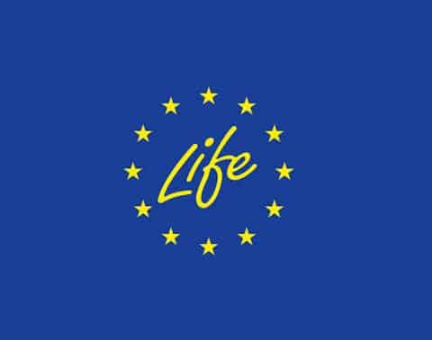 Según la última propuesta de Bruselas, el programa LIFE se integrará en el nuevo Fondo de Competitividad Europeo (ECF) a partir de 2028. Este cambio busca unificar los instrumentos financieros de la UE bajo una misma estructura para reforzar la competitividad, la sostenibilidad y la transición verde.